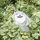 ���������꡼ No.004�Υ���ͥ������ / �֥ȥ�Сס������ʤ̤�����ߡȥߥ륳���ե롼��ɤ��о�