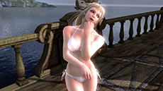 ꡼ No.014 | ֥륭СII HD Onlineפۿ220˷ꡣץ쥤֥륭饯ξƥȥ쥤顼ʤɤ