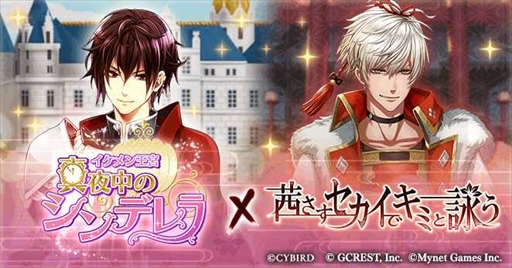 ꡼ No.006Υͥ / ֥󲦵ܡפ֥פȥץ֥ܥڡ򳫺šξץ쥤ǥץ⥢ƥ餪