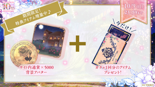 ꡼ No.006 | ֥󥷥꡼סȽ˺סɤơޤˤ10ǯ2Ƥ򳫺