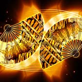 ���������꡼ No.075�Υ���ͥ������ / ��MJ�ץ��꡼���ߡ�P�����֤ηļ�3�ץ���ܥ��٥�ȳ����档���ۿ���12��26��20:00����