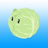 ���������꡼ No.005�Υ���ͥ������ / �֥���NET��� MJ�ס�TV���˥�֤��Τ��Сפȥ���ܤ�������������������