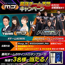 ���������꡼ No.002�Υ���ͥ������ / �֥���NET��� MJ�ס��������ߡ��ե��˥å����ȤΥ�������ۿ���6��3���˼»�