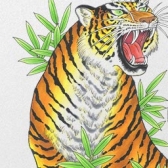 ���������꡼ No.013�Υ���ͥ������ / �֥���NET��� MJ�ס���ζ��ǡ���ץ��꡼��10��ǯ��ǰ����ܤ�»�