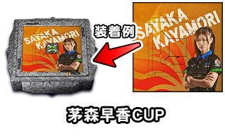 画像ギャラリー No.007のサムネイル画像 / 「MJ」シリーズで全国大会“茅森早香CUP”が本日スタート