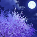 画像ギャラリー No.055のサムネイル画像 / NET麻雀「MJ」,コラボイベント“P真・一騎当千CUP”本日開始。アガリ演出や限定アイテムなどを入手可能