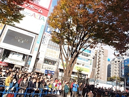 画像ギャラリー No.003のサムネイル画像 / 「解放少女 SIN」,新宿の街に女子高生大統領の演説が轟いたトークイベントをレポート。ご当地アイドルの橋本環奈さんが宣伝大使に