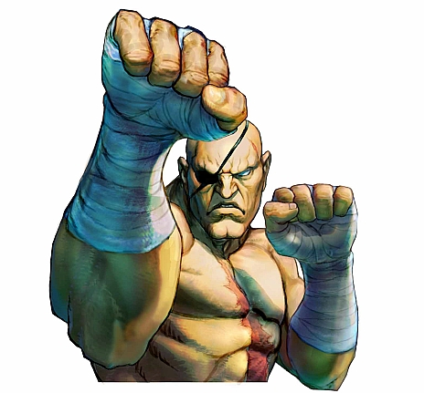 「ウルトラストリートファイターIV」,「OMEGAエディション」におけるベガや豪鬼らの追加仕様が公開。新コスチューム「ワイルド」の情報も