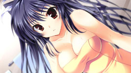 ꡼ No.003 | ֲΥ饪ơסʾҲܥ2Ƥϡ͸־ǵפȡҽΡĥꥫʡפо