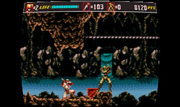 ���������꡼ No.009�Υ���ͥ������ / 3DS��3D ���������ѡ�ǦII�פ��ۿ��������������ȡ���������������Ǧ�ԥ��������3DΩ�λ��б�������