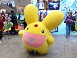 ���������꡼ No.032�Υ���ͥ������ / �ǿ������ब�����Ȥʤ����֥����ץե�����2014�ץ�ݡ��ȡ����������������˥å�����ǤŷƲ���ݥ����SCE�ʤɡ����ץ֡�����Ҳ�