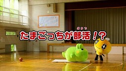 画像ギャラリー No.009のサムネイル画像 / 「たまごっち!せーしゅんのドリームスクール」テレビCMが公開。4つの科も