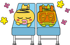 ���������꡼ No.047�Υ���ͥ������ / �֤��ޤ��ä������������Υɥ꡼�ॹ������ס�����������о줹��4�Ĥγزʤȥߥ˥�����ξ��󤬸�����