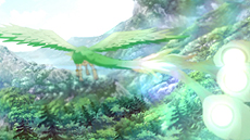 ꡼ No.014 | ֥֥쥹  ե 6 εμԤӥ2015ǯճϡ2014ǯ߼»ܤԥƥȾо쥭顤ԽΥ˥PV