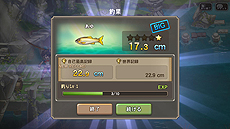 ꡼ No.043Υͥ / ֥֥쥹  ե 6סPCAndroidüïǤ⻲òǽʡ֥饪ȯƥȡפ