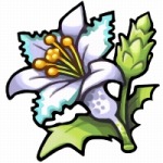 ���������꡼ No.003�Υ���ͥ������ / �֥֥쥹 ���� �ե����� 6��ε�β֤򽸤���������å��٥�ȡ֥����ĥե������פ�����