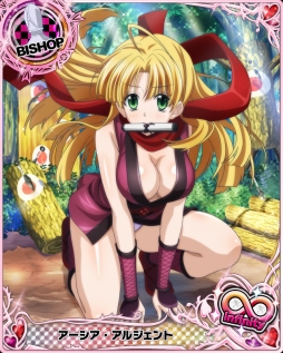 画像ギャラリー No.005のサムネイル画像 / 「ハイスクールD×D」，くノ一姿の女の子たちが登場するイベントが開催