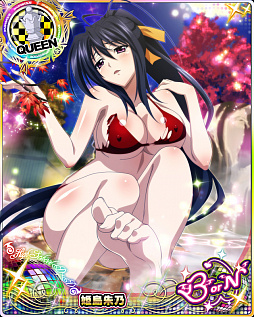 ���������꡼ No.005�Υ���ͥ������ / �֥ϥ���������D��D�ס��������ȥ��٥�ȡ֥��������������ι�ԤǤ����פ�������