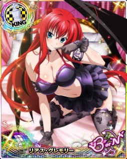 ���������꡼ No.005�Υ���ͥ������ / �֥ϥ���������D��D�ס�������ܥ����٥�ȡ֥��������������ꥤ�٥�ȤǤ�!!�פ�����