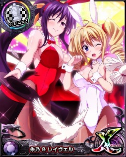 画像ギャラリー No.005のサムネイル画像 / 「ハイスクールD×D」,デートイベント 「セクシーバニーのエンターテイナー!」が開催