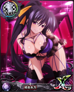 ꡼ No.005 | ֥ϥDDפxEXޤǿʲǽʥθꥫɤǽʥ쥤ɥ٥Ȥ