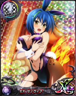 ꡼ No.003 | ֥ϥDDסȥ٥ȡȰȴѤȥХˡɤ򳫺