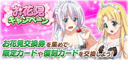 ꡼ No.007 | ֥ϥDDסȥ٥ȡȰȴѤȥХˡɤ򳫺