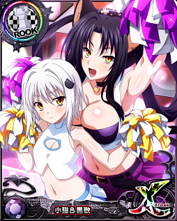 ꡼ No.006 | ֥ϥDDסǡȥ٥ȡȴưǮ꡼ɤ