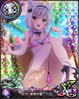 ꡼ No.003 | ֥ϥDDסǡȥ٥ȡȥᥤɤȥӥˤݽɳ