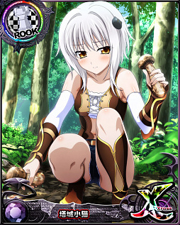 ꡼ No.005 | ֥ϥDDסܥ٥ȡȤ򸫤Ĥõ⡪ɳ