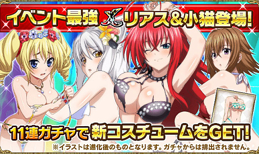 ꡼ No.004 | ֥ϥDDס˥С꡼ڡ쥤ɥ٥ȡȿƤΥӥ˥Хɤ򳫺