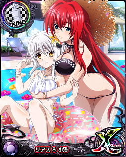 ꡼ No.005 | ֥ϥDDס˥С꡼ڡ쥤ɥ٥ȡȿƤΥӥ˥Хɤ򳫺