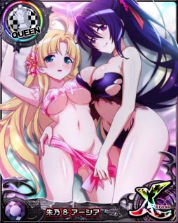 ���������꡼ No.009�Υ���ͥ������ / �֥ϥ���������DxD�ס�������ܥ����٥�ȡȽ�ư�����������ݥꥹ���ɳ�����