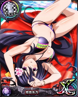 ꡼ No.005 | ֥ϥDDסǡȥ٥ȡȥʥȥסѡƥɤ򳫺