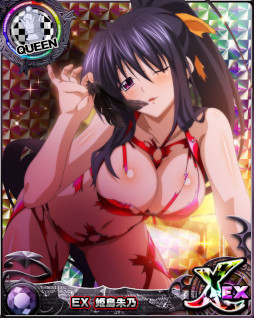 ꡼ No.003 | ֥ϥDDסܥ٥ȡͶǤΥʥȥѡƥǤɤ򳫺