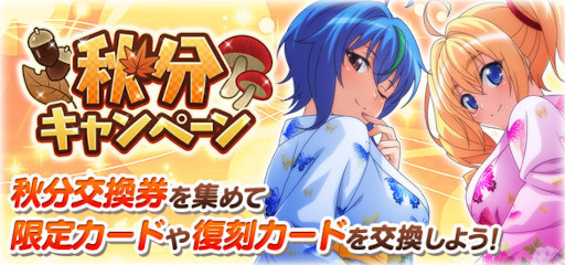 ꡼ No.007 | ֥ϥDDסܥ٥ȡͶǤΥʥȥѡƥǤɤ򳫺