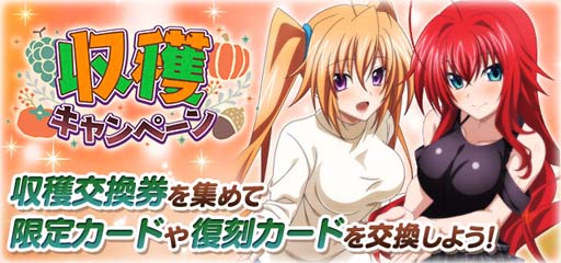 ���������꡼ No.007�Υ���ͥ������ / �֥ϥ���������DxD�ס��������ȥ��٥�ȡȥ�������OL��̥�ǤΥ��ե������ɳ�����