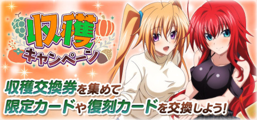 ���������꡼ No.007�Υ���ͥ������ / �֥ϥ���������D��D�ץ�����ܥ����٥�ȡȥ������鰭��ȥϥ�������ʥ��ȤǤ����ɤ򳫺���