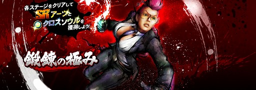 画像ギャラリー No.008のサムネイル画像 / 「ストリートファイター バトルコンビネーション」,レベルの上限が999に