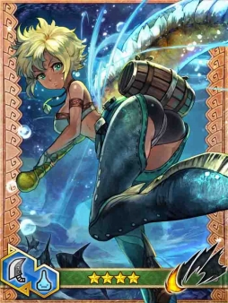 ꡼ No.008 | ֥ϥ ĥȡ40DL˵ǰڡŵ