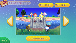 ꡼ No.005Υͥ / ֤ɤ֤Ĥοפ꿼̣臘Wii UDLѥեȡ֤ɤ֤Ĥο ӹפۿʤ̵2014ǯޤǤδָۿ