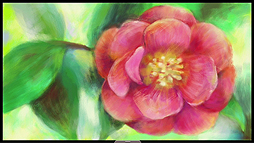 ���������꡼ No.004�Υ���ͥ������ / Wii U����������ɥ��եȡֳ������� �����å��פ��ۿ��������������ȡ�Wii U GamePad��Ȥäƥ����å�������������Miiverse����Ʋ�ǽ