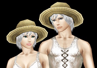 画像ギャラリー No.011のサムネイル画像 / 「ステラセプトオンライン」，8つのイベントに参加できる“真夏のバカンス”を開催