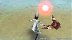 ꡼ No.008 | ֥ƥ饻ץȥ饤סեɤо줹εȾ̴ʪ쥤٥ȡפ򳫺