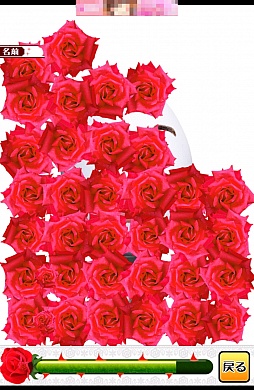 ꡼ No.006Υͥ / 鯤ȥ󡣥ޡȥեְƤƥפҲ𤹤֡ʤۤܡޥۥ̿325