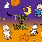 ꡼ No.002Υͥ / ֤ܤΥ쥹ȥIIס̡֥ԡפȤδָꥳܤ