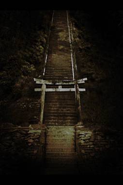 ���������꡼ No.005�Υ���ͥ������ / ������֥å����ץ�ִ�Τʤ�¼�פ�̵���Ǥ��ۿ���ͭ���Ǥ϶����ۿ�ͽ��