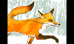 ���������꡼ No.009�Υ���ͥ������ / 3DS�����ǥ����륹���å��֥å���Colors! 3D�פ��ۿ��������������ȡ�����饤����Ƥˤ��б���������ڡ��ⵡǽ�Τ����������եȤ��о�