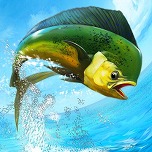 ꡼ No.007Υͥ / ȥ󥰤˥եꥲ֥פۿ