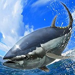 ꡼ No.008Υͥ / ȥ󥰤˥եꥲ֥פۿ